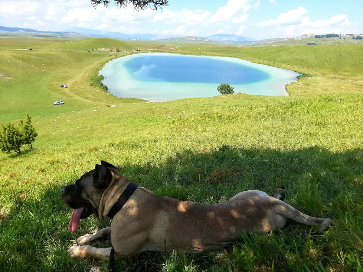 Etno Idila D&D Villa Zabljak  Ngoại thất bức ảnh